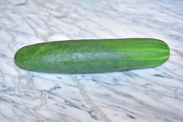 SHOP WHOLESALE CUCUMBER (HOT HOUSE)