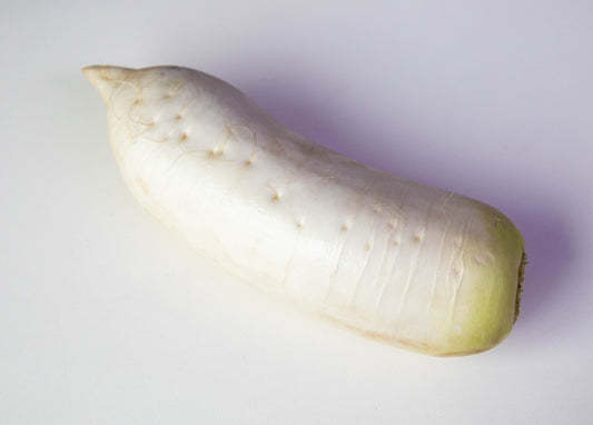 KOREAN RADISH PC