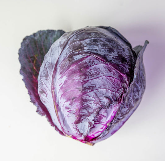 RED CABBAGE PC