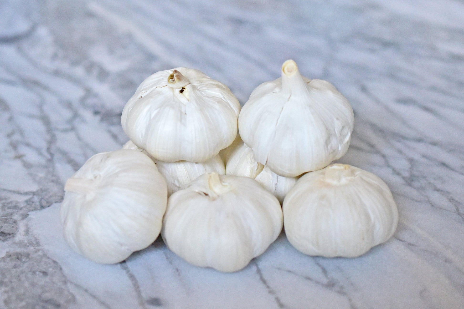 FRESH GARLIC - MPS GROCERIES